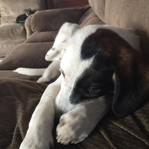 Meet your Posher, Matthew